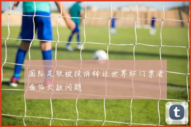 国际足联被投诉转让世界杯门票者面临欠款问题